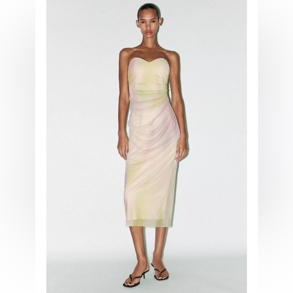 NWT Zara Elegant Printed Tulle Strapless Dress